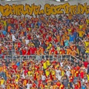 29. Hafta: Göztepe - Bursaspor
